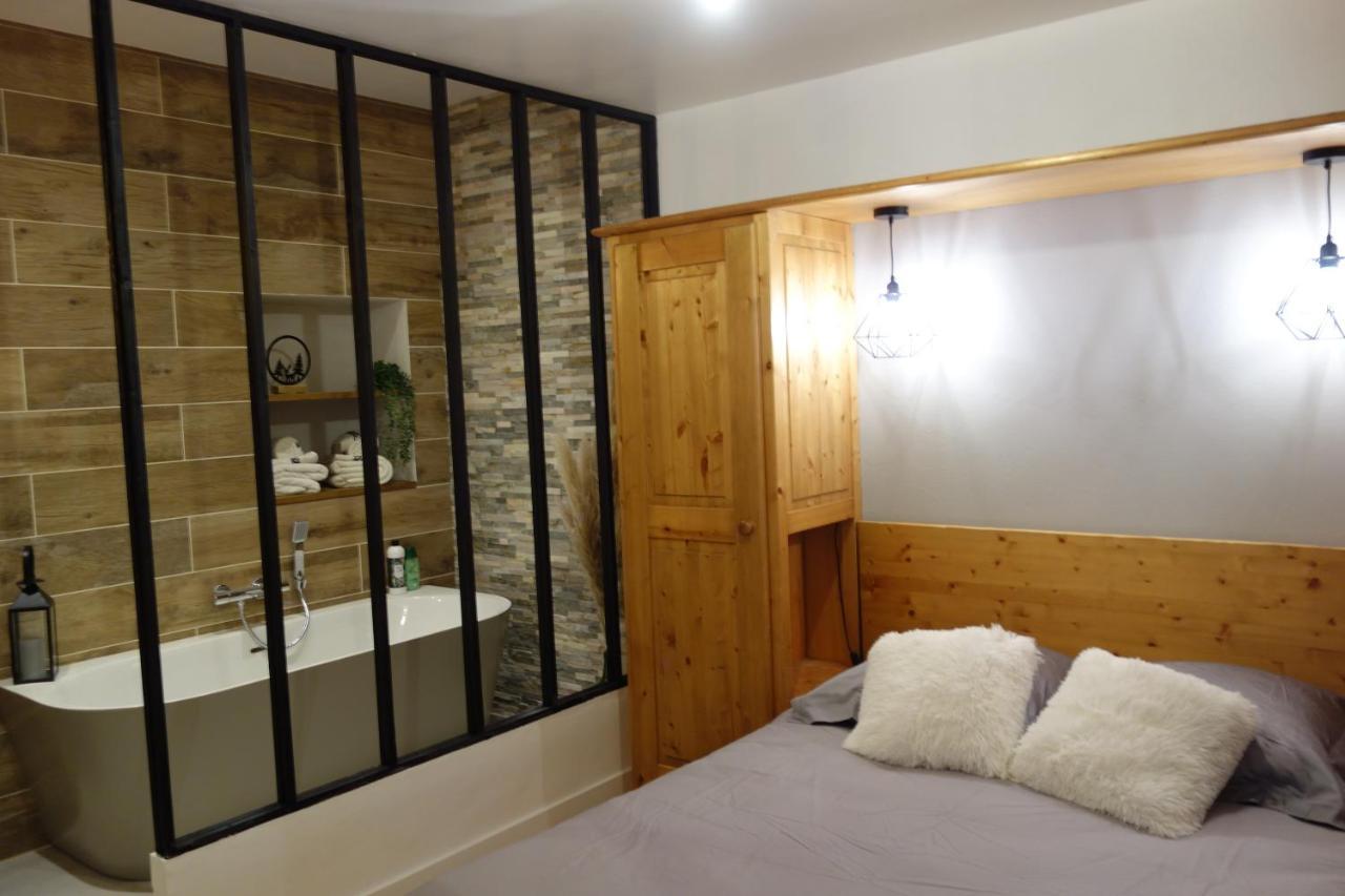 Chez Petit Louis- Appart Centre Ville Jusqu'A 6 Personnes ブリアンソン エクステリア 写真